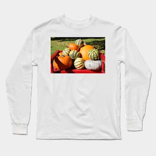 Pumpkins Long Sleeve T-Shirt